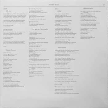 2LP Andrew Bird: Noble Beast