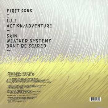 LP Andrew Bird: Weather Systems