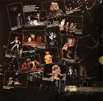 2LP Andrew Lloyd Webber: Cats Live - Deutsche Gesamtaufnahme Aus Dem Hamburger Operettenhaus