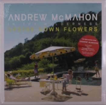LP Andrew McMahon In The Wilderness: Upside Down Flowers
