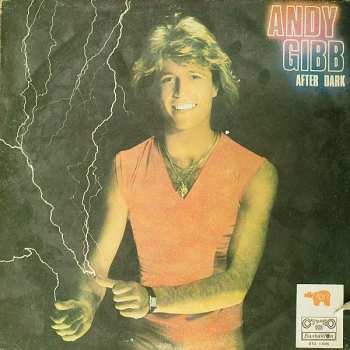 LP Andy Gibb: After Dark