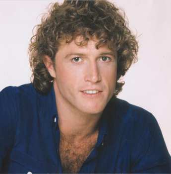 CD Andy Gibb: The Very Best Of Andy Gibb 