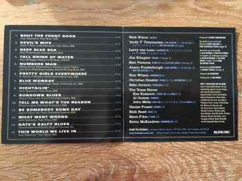 CD Andy T - Nick Nixon Band: Numbers Man