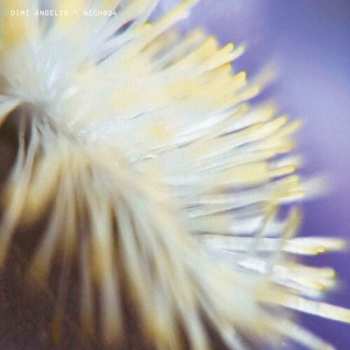 Album Angelis,dimi: Nech034