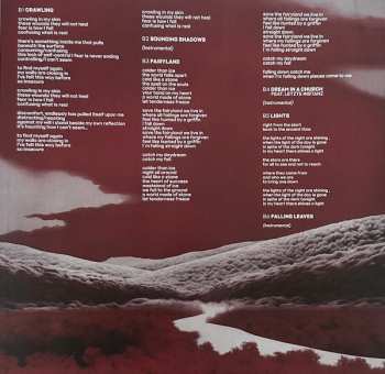 2LP Angelzoom: Angelzoom - 20th Anniversary LTD