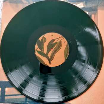 LP Angie McMahon: Piano Salt