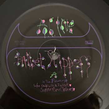 3LP Animal Collective: Ballet Slippers