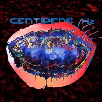 2LP/DVD Animal Collective: Centipede Hz DLX | LTD