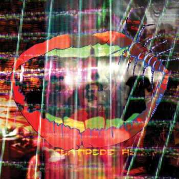 2LP Animal Collective: Centipede Hz