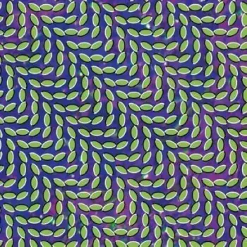 Animal Collective: Merriweather Post Pavilion