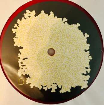 2LP Animal Collective: Sung Tongs CLR