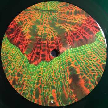 2LP Animal Collective: Tangerine Reef LTD | CLR