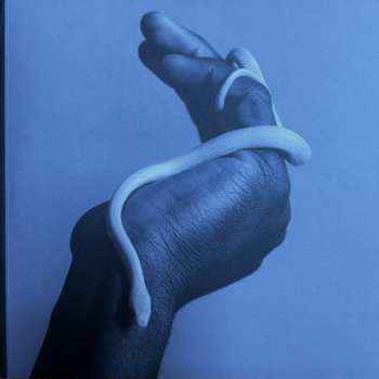 LP Animals As Leaders: Parrhesia LTD | CLR