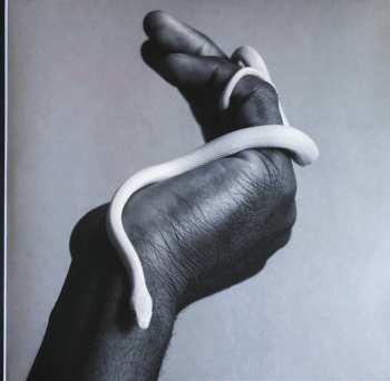 LP Animals As Leaders: Parrhesia CLR | LTD