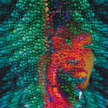 Album Animation: Agemo