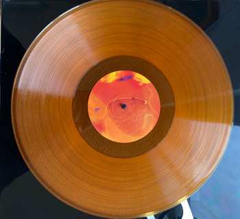 LP Anna B Savage: In|Flux LTD | CLR