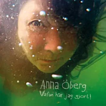 Anna Öberg: Vafan Har Jag Gjort!