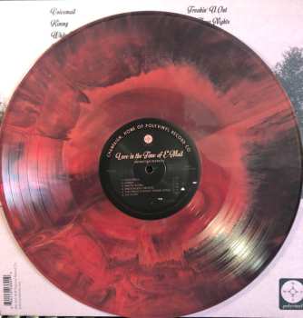LP Antarctigo Vespucci: Love in the Time of E-mail CLR | LTD
