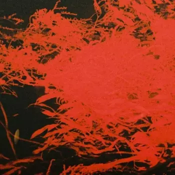 Anthony Naples: In Studio Magic