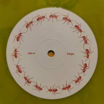 LP Antillectual: Together CLR