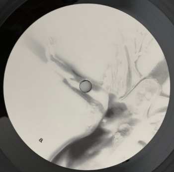LP Antimatter: Saviour LTD