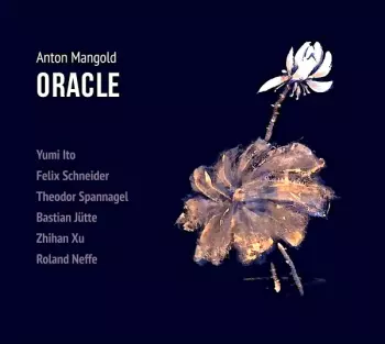Anton Mangold: Oracle