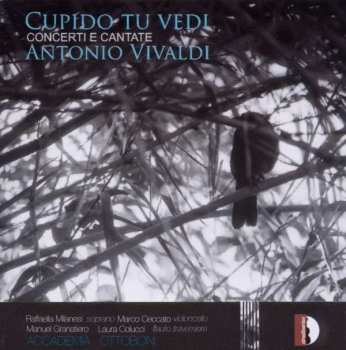 Album Antonio Vivaldi: Cupido Tu Vedi (Concerti E Cantate)