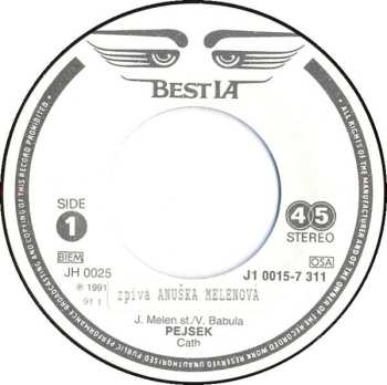 SP Anushka: Pejsek / V Létě