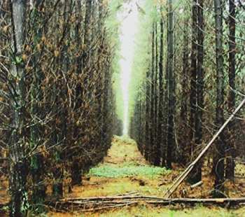 Album Apart From This: In Gloom