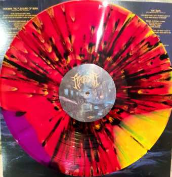 LP Apogean: Cyberstrictive