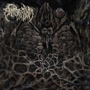 Album Apparition: Feel