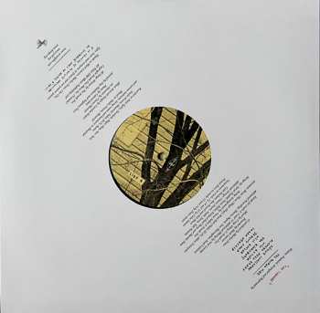 2LP Arcade Fire: The Suburbs
