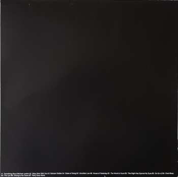 LP Ariel Pink's Haunted Graffiti: Odditties Sodomies Vol. 2
