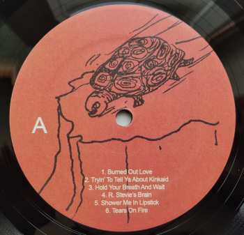 LP Ariel Pink's Haunted Graffiti: Odditties Sodomies Vol. 3