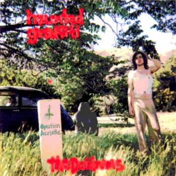 Album Ariel Pink's Haunted Graffiti: The Doldrums