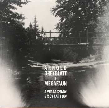 LP Arnold Dreyblatt: Appalachian Excitation