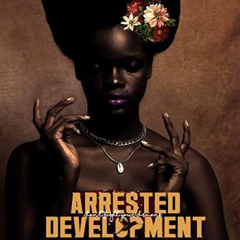 Album Arrested Development: Don't Fight Your Demons