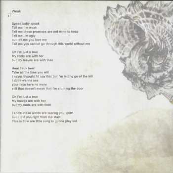 CD Asaf Avidan & The Mojos: The Reckoning