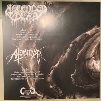 LP Ascended Dead: Ascended Dead / Atomicide LTD | CLR