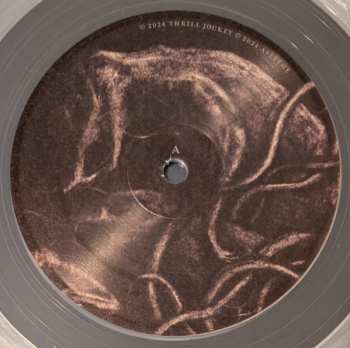 LP Aseethe: The Cost CLR | LTD