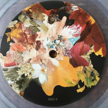 LP Ash Koosha: I AKA I CLR