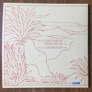 LP Ash Ra Tempel: Schwingungen