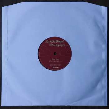 LP Ash Ra Tempel: Schwingungen