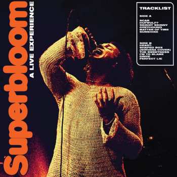 LP Ashton Irwin: Superbloom: A Live Experience