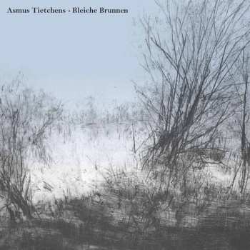CD Asmus Tietchens: Bleiche Brunnen