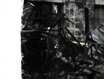 CD Assemblage 23: Ground