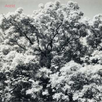 CD Astrïd: Always Digging The Same Hole