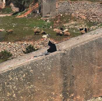 LP Attila Csihar: Void Ov Voices : Baalbek