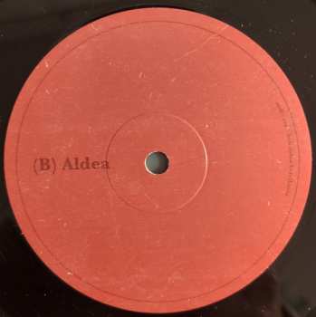 LP Audience: bob dylan berrikusia