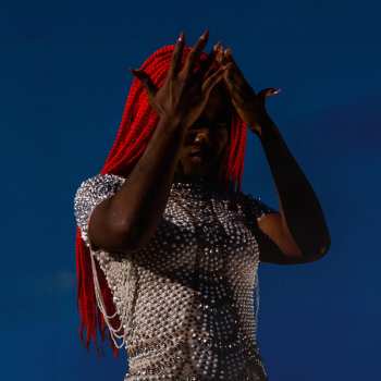 Album Aunty Rayzor: Viral Wreckage